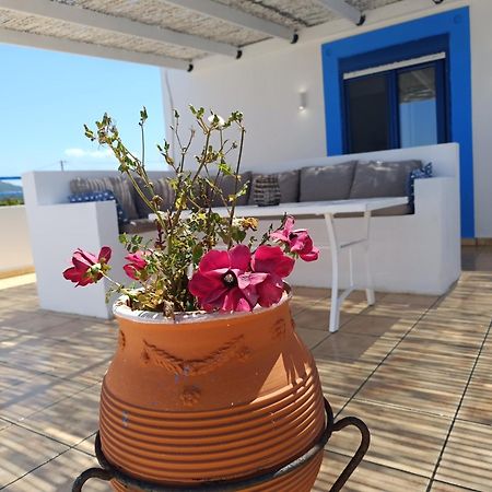 Nautilus Beach House Paradisi (Rhodes) Exterior foto